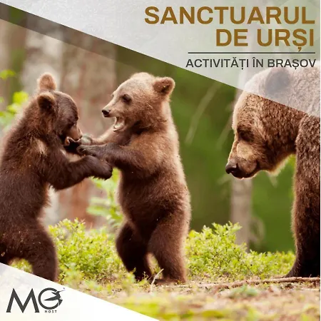 Mohost Noua 4 - Exclusive Retreat In Nature's Calm Apartment *