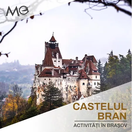 Mohost Noua 4 - Exclusive Retreat In Nature's Calm דירה *