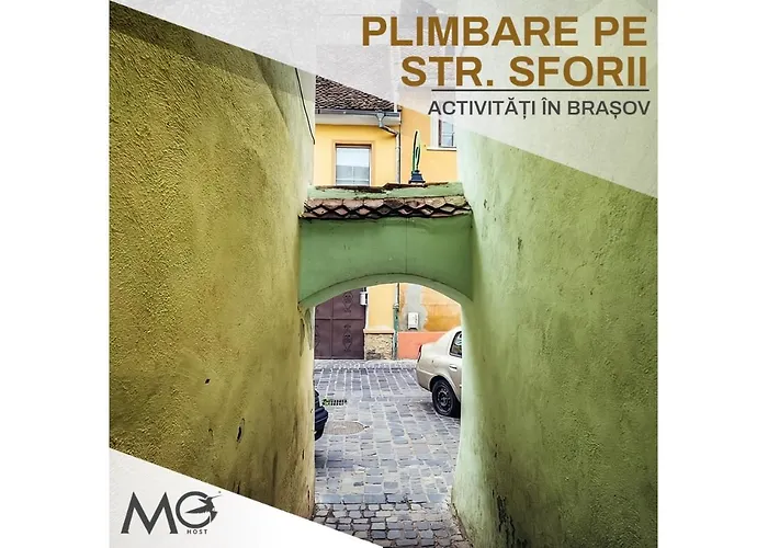 公寓 Mohost Noua 4 - Exclusive Retreat In Nature's Calm 布拉索夫